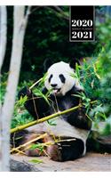 Panda Bear Week Planner Weekly Organizer Calendar 2020 / 2021 - Green Breakfast