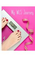My WLS Journey