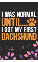 I Was Normal Until I Got My First Dachshund