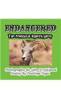 Endangered--The Peninsular Bighorn Sheep