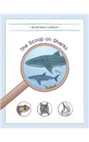 Scoop on Sharks