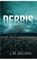 Debris