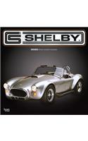 Shelby 2020 Square Foil