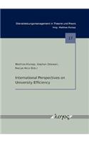 International Perspectives on University Efficiency