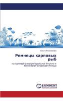 Remnetsy Karpovykh Ryb