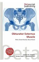Obturator Externus Muscle: (English)