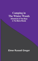 Camping In The Winter Woods
