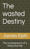 wasted Destiny