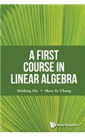 First Course In Linear Algebra, A
