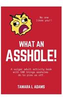 What An Asshole!: A vulgar adult activity book with 100 things assholes do to piss us off.