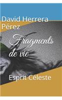 Fragments de vie