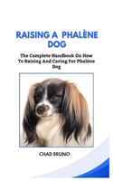 Raising a Phalène Dog