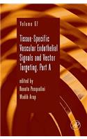 Tissue-Specific Vascular Endothelial Signals and Vector Targeting, Part a