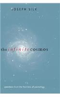 The Infinite Cosmos