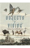 Objects of Vision