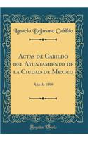 Actas de Cabildo del Ayuntamiento de la Ciudad de Mexico: AÃ±o de 1899 (Classic Reprint): AÃ±o de 1899 (Classic Reprint)