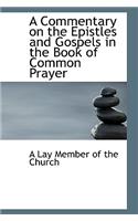 A Commentary on the Epistles and Gospels in the Book of Common Prayer