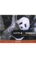 Little Panda