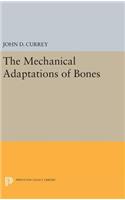 Mechanical Adaptations of Bones