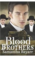 Blood Brothers: Amish Mystery Suspense