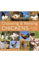 Choosing and Raising Chickens