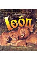 El Ciclo de Vida del Leon