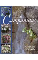 Dwarf Campanulas