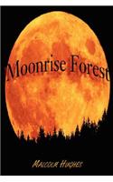 Moonrise Forest