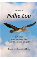 The Story of Pellie Lou: A Pelican Who Survived the Gulf of Mexico Oil Spill