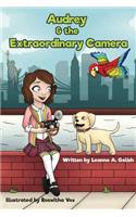 Audrey and the Extraordinary Camera