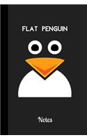 Flat Penguin Notes