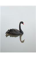 Black Swan Notebook: College Ruled Notebook Journal for Everyone