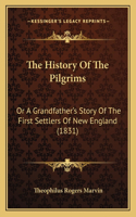 History Of The Pilgrims: Or A Grandfather's Story Of The First Settlers Of New England (1831)