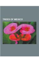 Trees of Mexico: Theobroma Cacao, Ceiba Pentandra, Avocado, Ficus Aurea, Ficus Maxima, Attalea, Tamarind, Roystonea Regia, Jatropha Cur