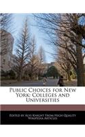 Public Choices for New York: Colleges and Universities