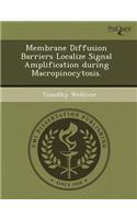 Membrane Diffusion Barriers Localize Signal Amplification During Macropinocytosis