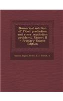 Numerical Solution of Flood Prediction and River Regulation Problems. Report II - Primary Source Edition