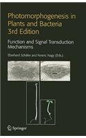 Photomorphogenesis in Plants and Bacteria