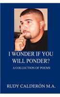 I Wonder if You Will Ponder?