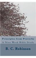Principles from Proverbs