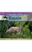 Emus