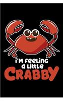 I'm Feeling a Little Crabby: Hermit Crab, Crustacean Lined Notebook Journal Diary 6x9