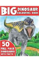 The Big Dinosaur Colouring Book: Kids Colouring Book With Dinosaur Facts