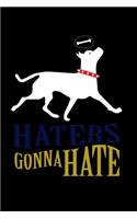 Haters Gonna Hate: 110 Game Sheets - SeaBattle Sea Battle Blank Games - Soft Cover Book for Kids for Traveling & Summer Vacations - Mini Game - Clever Kids - 110 Lined