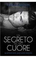 Un segreto nel mio cuore