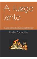 A Fuego Lento: (experiencias Autobiográficas)