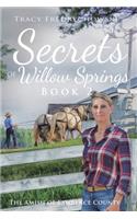 Secrets of Willow Springs - Book 2