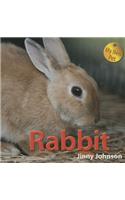 Rabbit: (My New Pet)