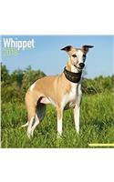 Whippet Calendar 2018