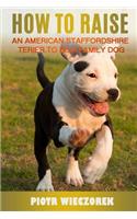 How to Raise a American Staffordshire Terier to Be a Family Dog